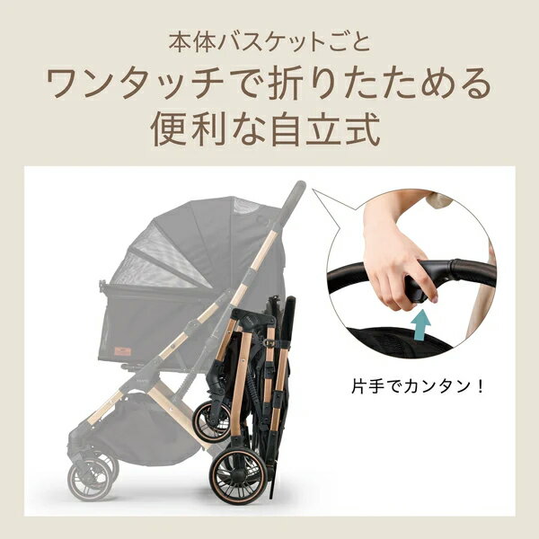 �����å��� OSOTO GRACE QC2 �Υ����� [Ʊ���Բ�] [����̵��]