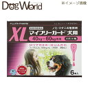 マイフリーガード 犬用 XL 40〜60kg 6本入（4.02mL×6）（動物用医薬品）