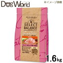 セレクトバランス グレインフリー キトン 〜12ヶ月の子猫・母猫用 チキン 小粒 ドライ 1.6kg