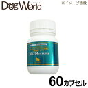 愛犬の毎日のおなかの健康に。ペディオコッカス菌の乳酸菌製品（サプリメント）です。 ■対象動物：中型・大型犬用 ■内容量：400mg×60カプセル ■原産国：米国 ■カロリー：2kcal/1カプセル当たり ■JAN：4560275080177原材料名 ペディオコッカス・アシディラクティシNRRL B-50517、サッカロミセス・ボウラディ、ラクトース、マンナンオリゴ糖、酵母抽出物、ゼラチン、アルミノケイ酸ナトリウム 成分 たんぱく質　17％以上、脂質　0.8％以上、粗繊維　0.3％以下、灰分　5.0％以下、水分　9.0％以下 エネルギー 2kcal/1カプセル当たり 与え方 ・中型犬（5〜15kg）：1日1カプセル ・大型犬（15kg以上）：1日2カプセル カプセルのまま、もしくは中身をフードに混ぜて与えてください。 賞味期限 パッケージに別途記載（年、月、日の順） 広告文責 ドッグワールド／クラフトジャパン&nbsp;0776-77-3611 メーカー 輸入者：有限会社ヘルスビジョン販売者：共立製薬株式会社 区分 原産国：米国 商品区分 動物用健康補助食品