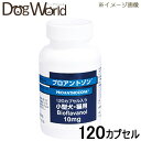 小型犬・猫用の動物用健康補助食品（フラボノイドサプリメント）です。 ■内容量：120カプセル／ボトル ■原産国：米国 ■カロリー：1.6kcal/1カプセルあたり ■JAN：4992945014364原材料名 玄米パウダー、ツナフレーバー、ビタミンE、L-システイン、セレン-アミノ酸キレート、ブドウ種子抽出物、グルタチオン（天然由来）、亜鉛-アミノ酸キレート、マンガン-アミノ酸キレート、ビタミンA、着色料（ビートパウダー）、ゼラチン 標準組成（1カプセル当たり） バイオフラバノール　10mg、L-システイン　20mg、ビタミンA　1000IU、ビタミンE　10IU、マンガン　1mg、亜鉛　1mg、セレン　20μg エネルギー（1カプセル当たり） 1.6kcal／1カプセル当たり 与え方 体重9kgまでの小型犬・猫に、1回1カプセルを1日2回5日間、その後は1日1回1カプセルを、そのまま、またはカプセルから出して食事に混ぜて与えて下さい。 賞味期限 パッケージラベルに、年（西暦4桁）、月の順で記載 広告文責 ドッグワールド／クラフトジャパン&nbsp;0776-77-3611 メーカー 販売者：共立製薬株式会社 区分 原産国：米国 商品区分 動物用健康補助食品