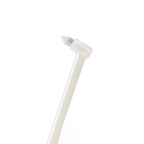 �ȡ��饹 �����ȥ�ȥ� �ץ饱�� ��ǭ�ѻ��֥饷