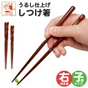 子供箸 箸上手 三点支持箸 子ども箸 しつけ箸 躾箸 矯正箸 箸使い 練習 子供用 こども 男の子 女の子 お箸 トレーニング 帰省土産 みやげ 右きき用 お箸...