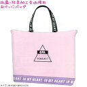 【30日1日限定最大5%OFFクーポンあり】【メール便 OK】 おけいこバッグ 女の子 向け ロゴ スタイル Glr Collect 抗菌生地 カミオジャパン ...