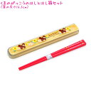 【18日最大5%OFFクーポンあり】【メール便 OK】 箸 はしケースセット カトラリー 女の子 向け くまのがっこう KS22-11 お花 16.5cm スク...