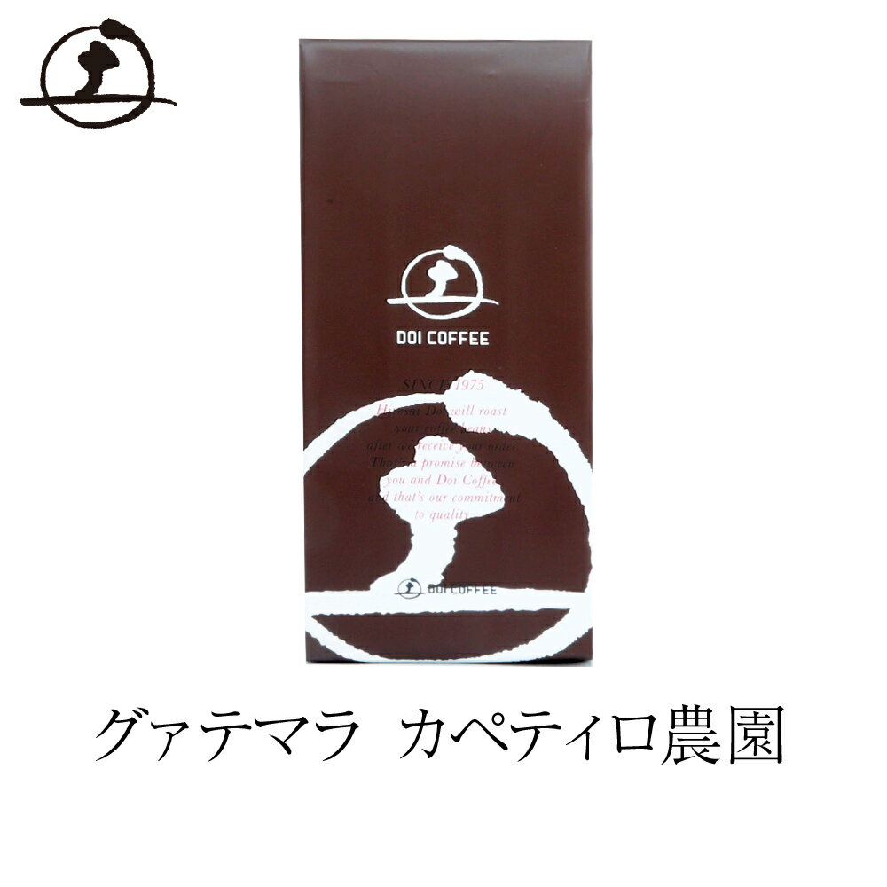 グァテマラ カペティロ農園