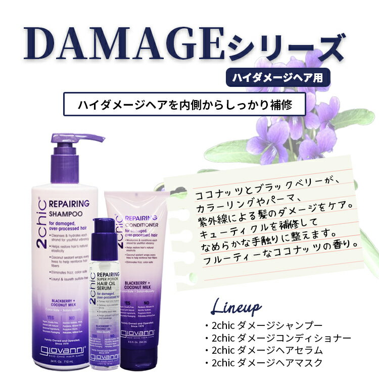 ����Х�� ���������� giovanni ����̵���������ʥ��åȡ�2chic ���᡼�� �����ס� 710ml&2chic ���᡼�� ����ǥ�����ʡ� 710ml �إ����� �������˥å� ������ ��ʪ������ ���᡼������ ���塼�ƥ����� ���顼���� �ѡ��� �֥꡼�� �֥꡼������ ���� �ڤ���