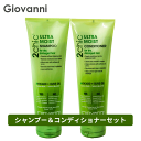 ジョバンニ giovanni 送料無料☆セット☆2chic モイスト シャンプー & コンディショナー 250ml ヘアケア オーガニック 自然派 植物エキス ボタニカル ダメージケア キューティクル カラーケア パーマ 枝毛 切れ毛 乾燥 ドライヤー ドライヘア