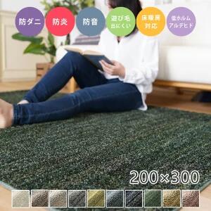 ラグ オーダー オーダーカーペット リュストル 200×300cm スミノエ ラグ シャギー ホットカーペット対応 防音 ラグマット 洗える 国産 ラグ