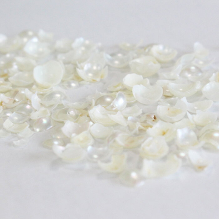 パールチップ　Pearl chips　100g