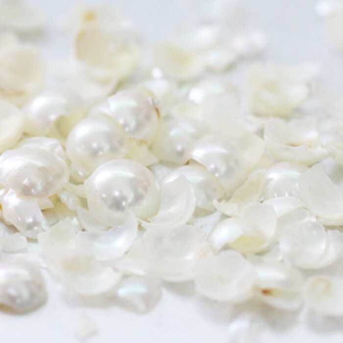 パールチップ　Pearl chips　100g