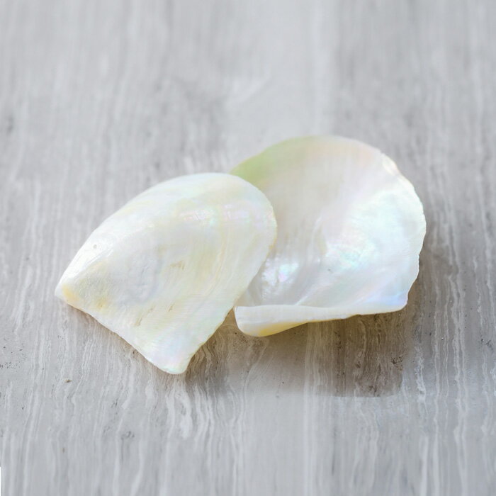 �ѡ���ѥ����� Pearl powder �����䥬��������ʴ�� 100g�Ƕݥѥå� ���ܻ� ��ɲ ������