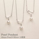 【全品高品質Silver925】【楽天1位】ネックレス レディース シルバー ダイヤモンド 金属アレルギー Silver925 s925 ジルコニア ピンクゴールド プラチナ ゴールド 一粒 ベネチアン アズキ チェーン 定番 人気 ジュエリー 普段使い プレゼント