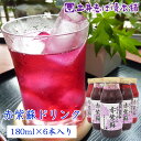 赤紫蘇ドリンク 180ml×6本入り 赤しそジュース ギフト お土産 お歳暮 ドリンク 自家製 京都 ...