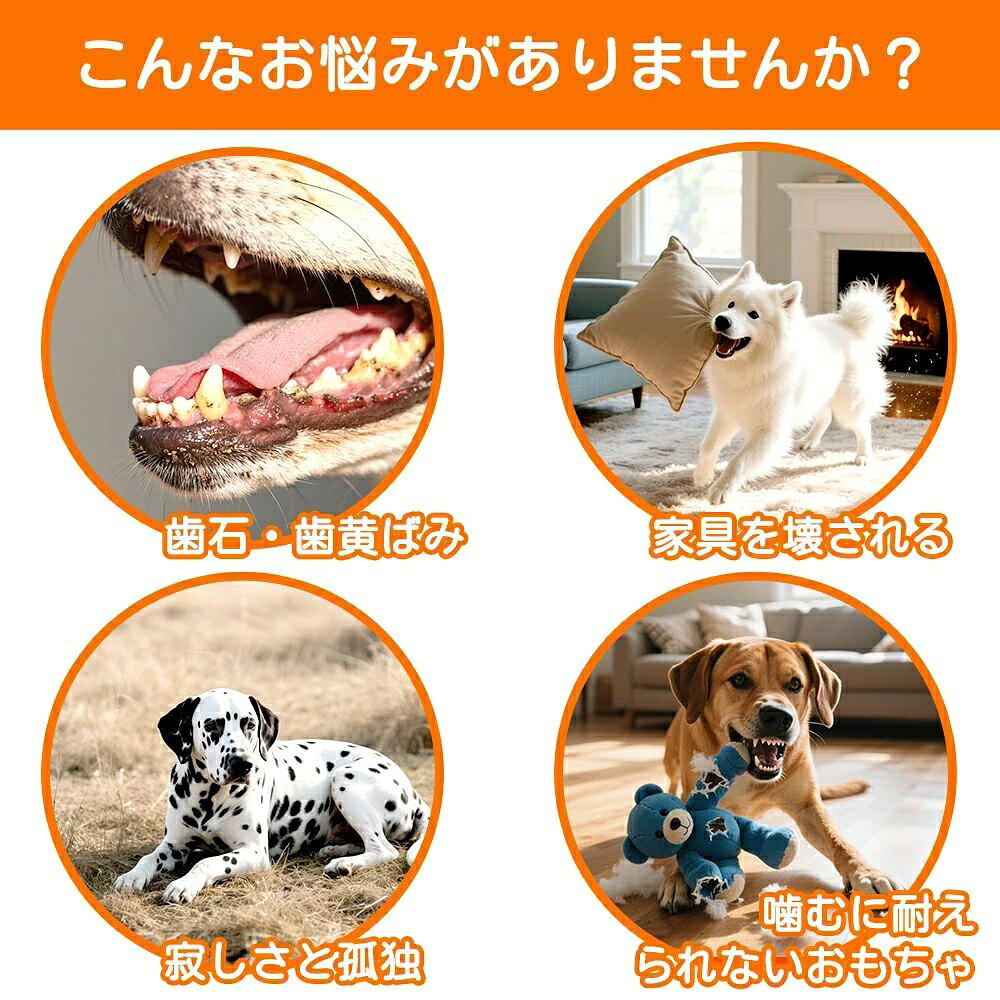 どぅいっとストアの【赤字覚悟10％OFF】犬用ボトル 噛むおもちゃ 犬用おもちゃ ボール付き 音の出るおもちゃ 壊れにくい 洗える 噛んで遊ぶ ストレス解消 犬用品 ボトル 犬 デンタルケア 運動不足解消 耐久性 家具保護 おもちゃ 清潔 安全 頑丈 知育玩具 小型犬から大型犬まで｜アングル2