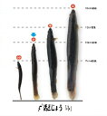 活どじょう 1kg 小 ドジョウ