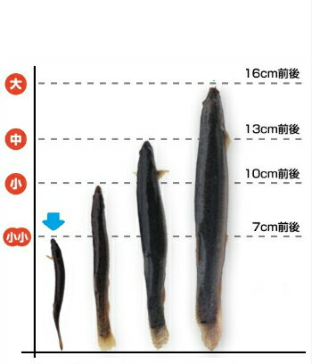 全国お取り寄せグルメ食品ランキング[その他水産物のその他(91～120位)]第93位