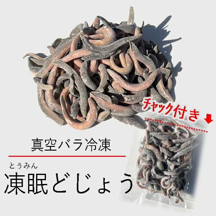 【レビューを書いてプレゼント 】真空 バラ冷凍どじょう 450g x2パック 小サイズ 冷凍えさ バラ ドジョウ 古代魚 熱帯魚の餌 バラ冷凍 どじょう エサ用 冷凍ドジョウ