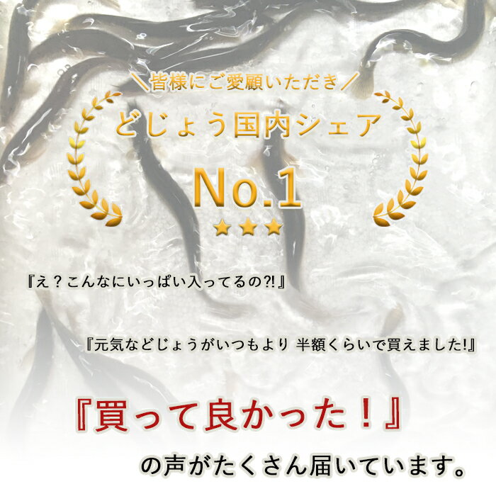 【 どじょう 日本一】 えさ どじょう 1kg 小小 【約7cm 約500匹】 えさ 活どじょう 釣り エサ 熱帯魚 古代魚 エサ に どじょう (食用OK)： どじょうの大河 ドジョウ 生き餌 生餌 生体 餌 2