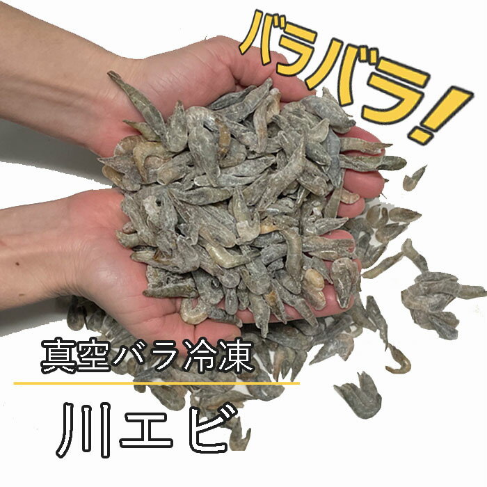 【レビューを書いてプレゼント！】真空 バラ 冷凍 川エビ 450g かわえび エサ 熱帯魚 古代魚 餌 冷凍エサ カワエビ 海老