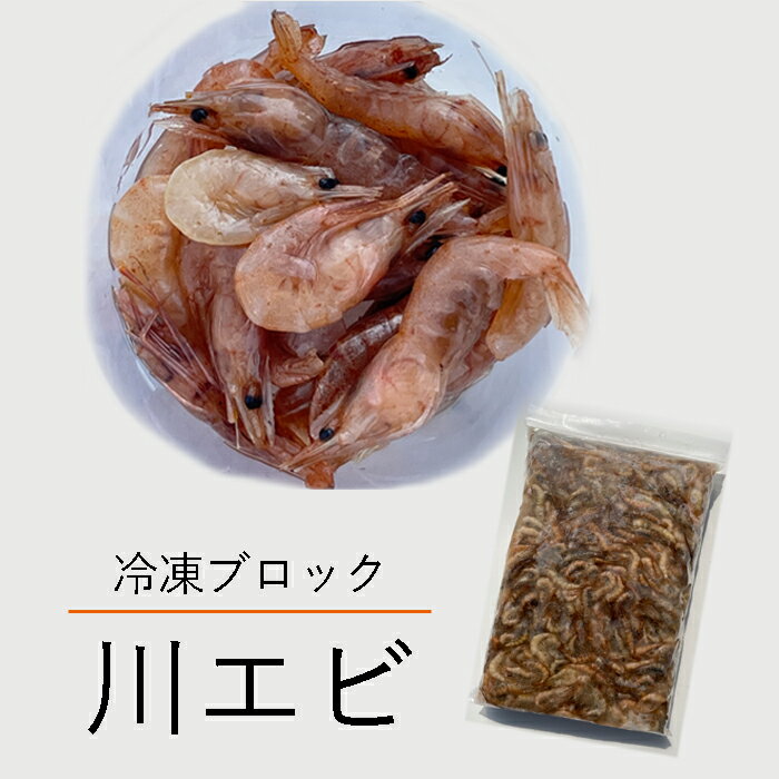 冷凍 エサ用 川エビ 500g かわえび エサ 熱帯魚 古代魚 餌 冷凍エサ カワエビ