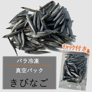 真空 バラ冷凍 エサ用 キビナゴ 500g 冷凍 きびなご エサ 釣りえさ 熱帯魚 古代魚 餌 冷凍エサ つり 餌