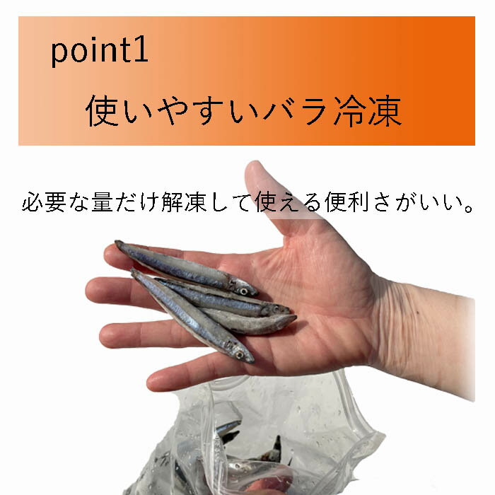 真空 バラ冷凍 エサ用 キビナゴ 500g 冷凍 きびなご エサ 釣りえさ 熱帯魚 古代魚 餌 冷凍エサ つり 餌