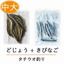 【タチウオ 釣り テンヤ 釣り 餌 ！】冷凍 どじょう (中大)100gと 冷凍 きびなご 10匹の 釣り セット！ 太刀魚 の テンヤ 釣り に最適な 釣り エサ がそろう！ つり 餌 最強セット