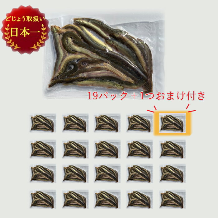 冷凍餌ドジョウ 生きたどじょうを急速冷凍 こだわりの良質な冷凍ドジョウだから食いが違うアロワナやポリプテルスのエサ 釣りの餌に キビナゴ代用にどじょう えさ用 冷凍 どじょう 小100gｘ19p おまけ えさ 餌 古代魚 最新コレックション や の ドジョウ 熱帯魚 エサ 釣り