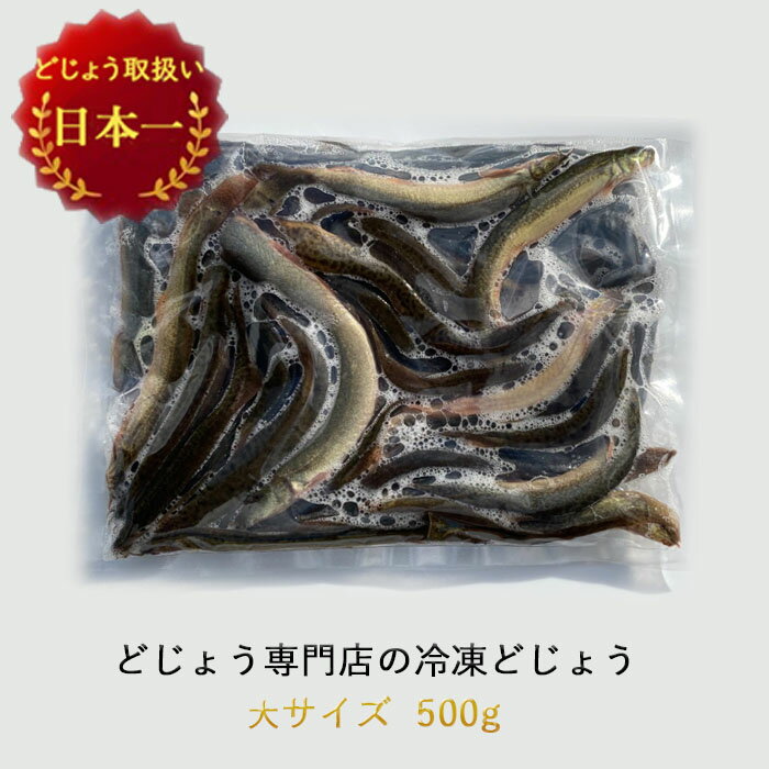 【どじょう日本一】 冷凍 エサ どじょう 500g 大【約16cm 約20匹】どじょう 冷凍 エサ 釣り えさ 熱帯魚 古代魚 餌 どじょう：どじょう..