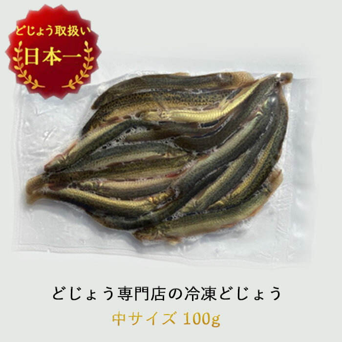 冷凍 エサ どじょう 100g 中【約13cm 約12匹】どじょう 冷凍 エサ 釣り えさ 熱帯魚 古代魚 餌 どじょう：じょうの大河 ドジョウ つり 餌