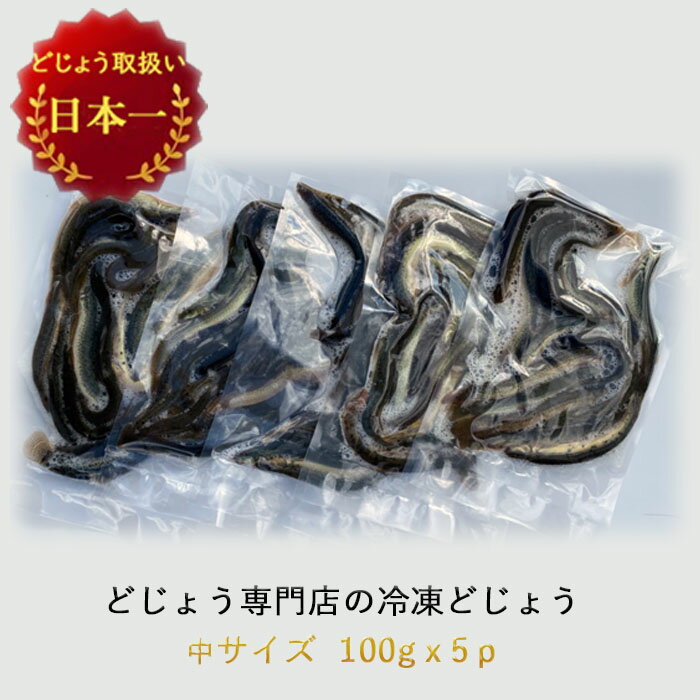  r[ăv[gI Ⓚ ǂ傤 100g~5pbN   13cm 12C~5P  GT ǂ傤 Ⓚ GT ނ  Mы Ñ㋛ a  ǂ傤 F ǂ傤̑ hWE  a