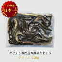 【どじょう 日本一】 冷凍 エサ どじょう 500g 中【約13cm 約60匹】どじょう 冷凍 エサ 釣り えさ 熱帯魚 古代魚 餌 どじょう：どじょうの大河 ドジョウ つり 餌