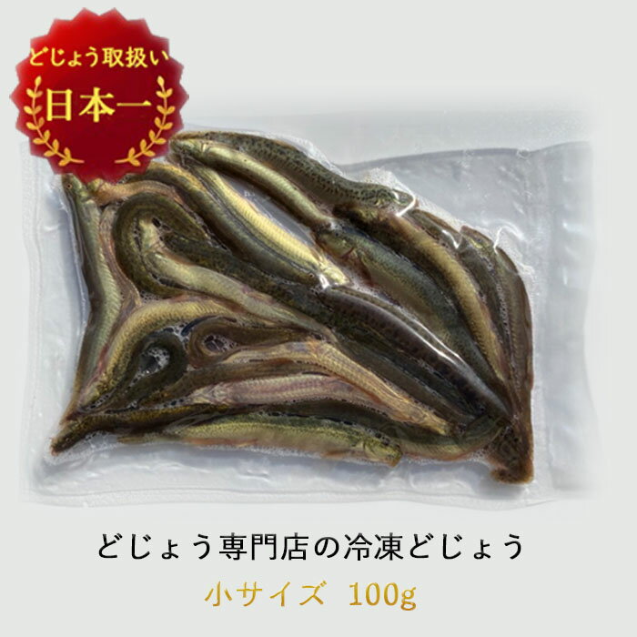 冷凍 エサ どじょう 100g 小【約10cm 約20匹】どじょう 冷凍 エサ 釣り えさ 熱帯魚 古代魚 餌どじょう：どじょうの大河 ドジョウ つり 餌