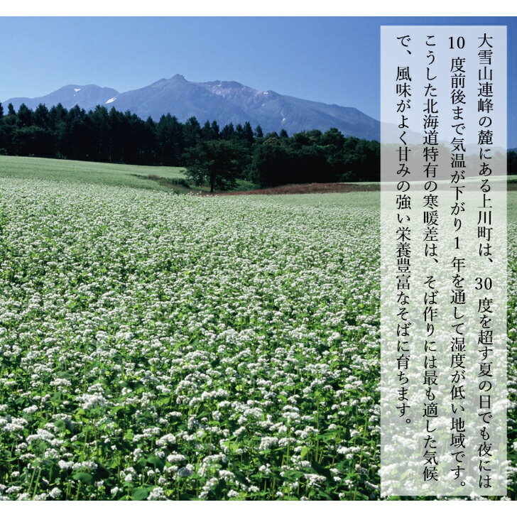 Whole Foods オーガニック ビーツ ジュース パウダー (500g) を購入する Buy Whole Foods Organic Beetroot Juice Powder (500g)