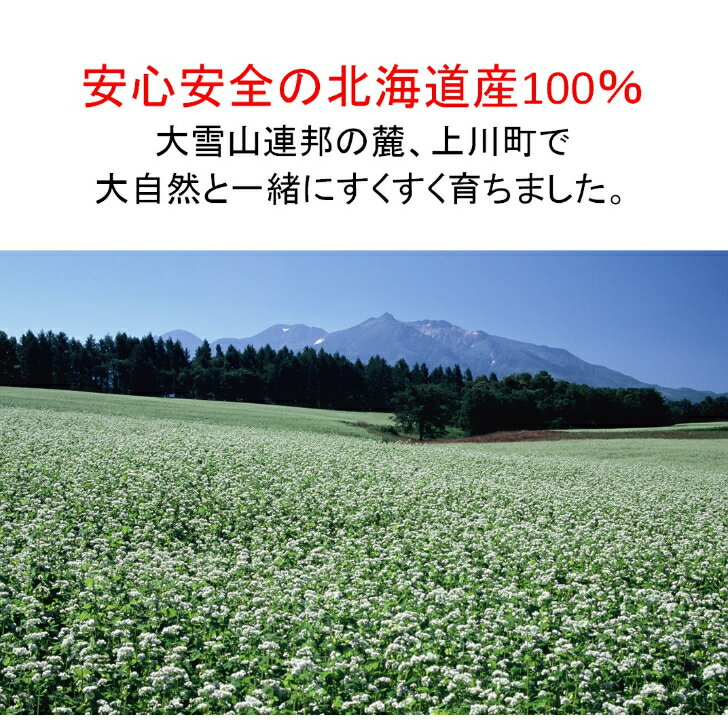 腸活KIKUIMOパウダー （100g） 【一丸商店】