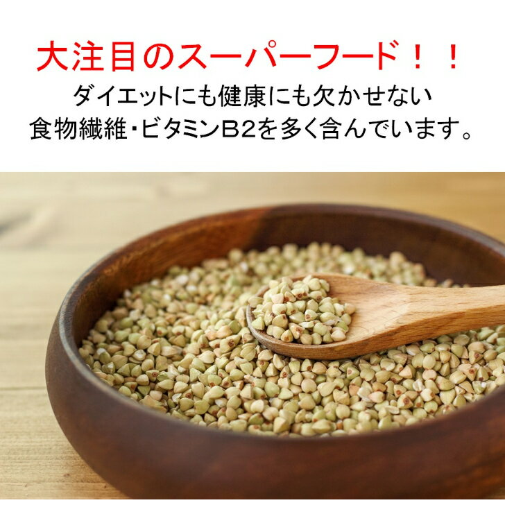 腸活KIKUIMOパウダー （100g） 【一丸商店】