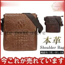 ショルダーバッグ バッグ メンズ 本革 クロコ型押し レザー 出張 大容量 革 アウトドア 通勤 斜め掛け 小物入れ かばん 父の日