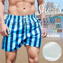 サーフパンツ メンズ 水着 男性用 ストライプ柄 ボードショーツ ショートパンツ ハーフパンツ 水陸両用 速乾 海パン ビーチ 旅行