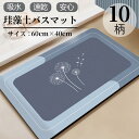 珪藻土バスマット 玄関マット 浴室 即納 大判 速乾 吸水 洗える 足拭き お風呂 水切り やわらか 室内 屋内 台所 脱衣所 洗面所 40x60 お手入れ簡単