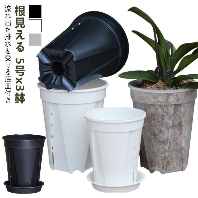 3鉢セット 透明スリット鉢 透明 植木鉢 植木鉢 5号サイズ 観葉植物の植え替え 鉢 スリット スリット鉢 鉢 植え替え 3鉢セット 根が見える鉢 ク