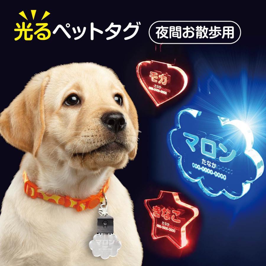光る お散歩ライト ペットタグ 迷子札 ネームタグ ペット ねこ いぬ 札 ネームプレート LED USB充電 犬..