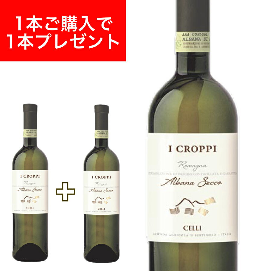 【月間優良ショップ2025年1月度受賞！】イ クロッピ アルバーナ セッコ DOCG 750ml イタリア直輸入 白ワイン CELLI（チェッリ） ドルチェヴィータのサムネイル