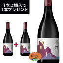 アニマ ソリス ロッソ 750ml イタリア直輸入 赤ワイン Fazio（ファツィオ） ドルチェヴィータ 母の日