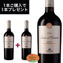 商品情報内容量750ml品種シラー生産者CASA VINICOLA FAZIO（カーザ ヴィニーコラ ファツィオ） 自ら尽力し取得したDOCにてワイン造りをするファツィオ。豊かな太陽の光と爽やかな風に恵まれた気候で土着品種を大切にしながら、新たな品種でテロワールを表現している。 産地シチリア州、トラーパニ 飲み口重口特徴非常にスパイシー。黒いベリー系の香りにシラーの黒胡椒のニュアンスが樽熟成由来のバニラの香りと上手に溶け込んでいる。胡椒をふんだんに使った肉料理や狩猟肉と共に。 ※価格表記は全て税込です。 ※実際のヴィンテージ・ロット等は画像と異なる場合がございます。ルーチェ ドリエンテ DOC エリチェ 750ml イタリア直輸入 赤ワイン Fazio（ファツィオ） ブラックベリーの香りに黒胡椒のニュアンス 【期間限定！1本ご購入で同じワイン1本プレゼント！】 ＊1本あたり2,805円のところ約1,403円 ＊1本ご購入で1本プレゼント＝ 2本1セットでお届けします。 8