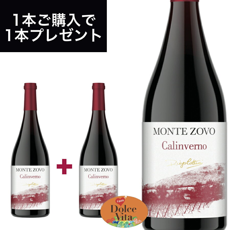 カリンヴェルノ IGT （CALINVERNO IGT） 750ml イタリア直輸入 赤ワイン COTTINI（コッティーニ） ドルチェヴィータ 母の日