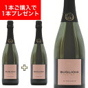 【月間優良ショップ2025年1月度受賞!】ブリュット ロゼ イル ヴィリャッコ 750ml イタリア直輸入 スパークリグ ロゼ BUGLIONI(ブリオーニ) ...