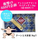 【訳あり大特価47%OFF】【通常価格1,700円より衝撃の888円】3kg 大容量 アントニオアマートスパゲッティ 通常価格1,700円より47%OFF パス...