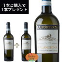 ファランギーナ DOC タブルノ 750ml イタリア直輸入 白ワイン LA FORTEZZA（ラ フォルテッツァ） ドルチェヴィータ 母の日