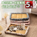 \ポイント5倍/ペットマット ひんやりマット ペットベッド 夏用 犬 猫 ひんやりシート 涼感マット ペットクールマット 涼感敷きパッド 枕付き クッション ペ...